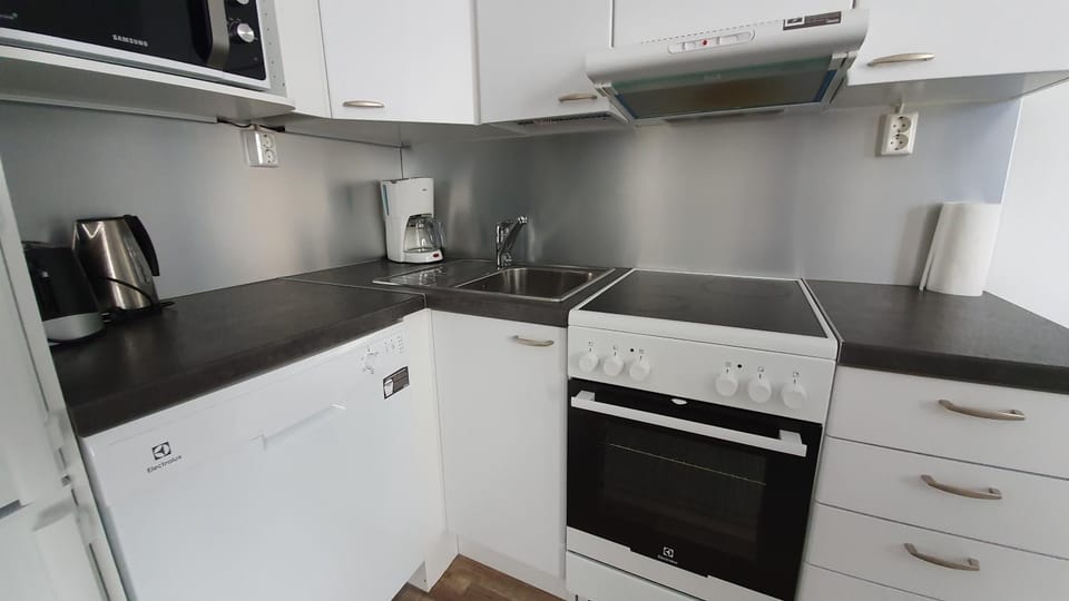 Kitchen or kitchenette, dishwasher, oven, stove, toaster