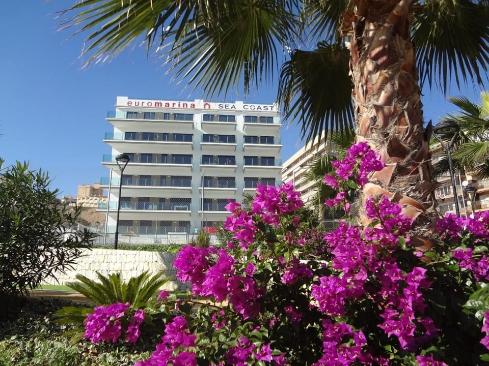 Property building, Day