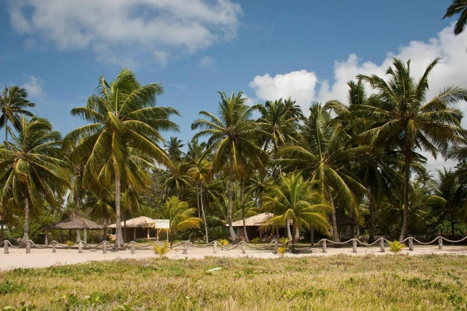 Day, Natural landscape, Beach