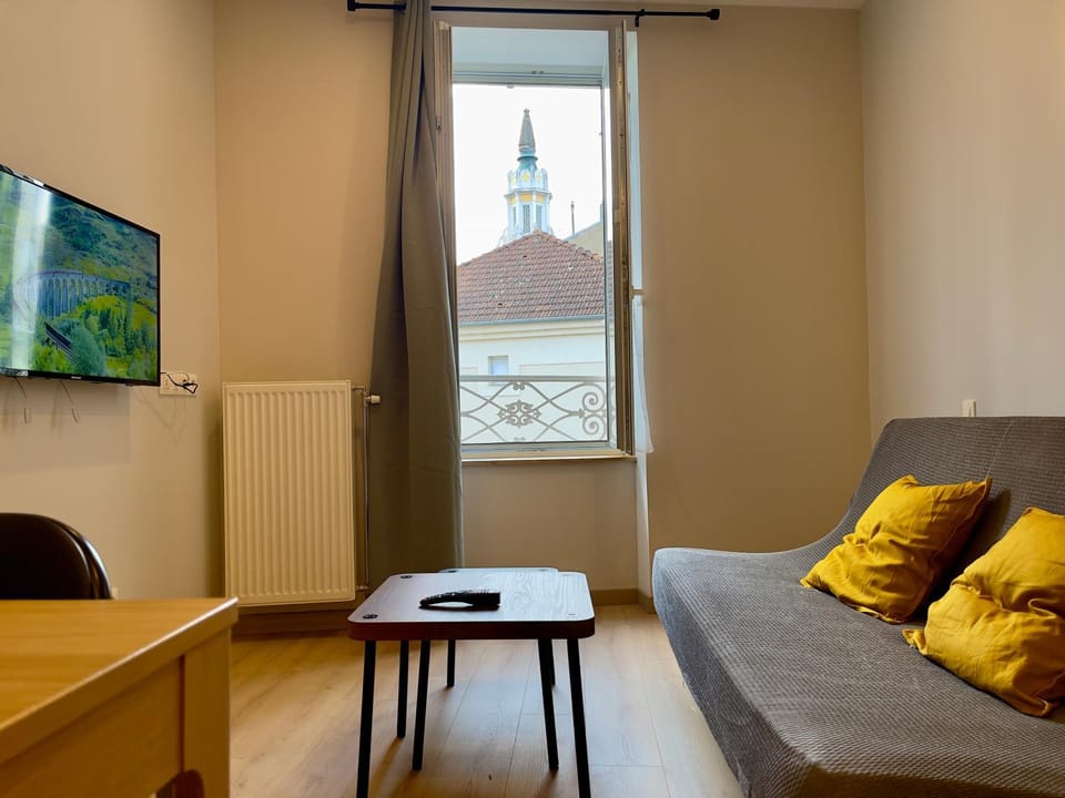 Appart'Village Le vieux Vichy centre T1,T2,T3 - Parking - Thermes Apartment in Auvergne-Rhône-Alpes