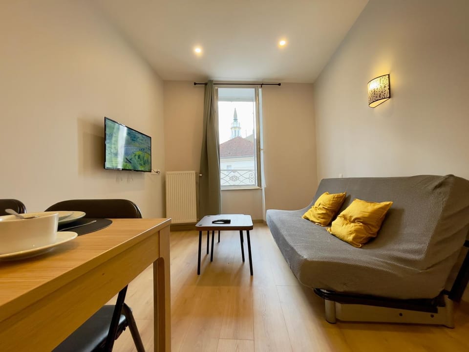 Appart'Village Le vieux Vichy centre T1,T2,T3 - Parking - Thermes Apartment in Auvergne-Rhône-Alpes