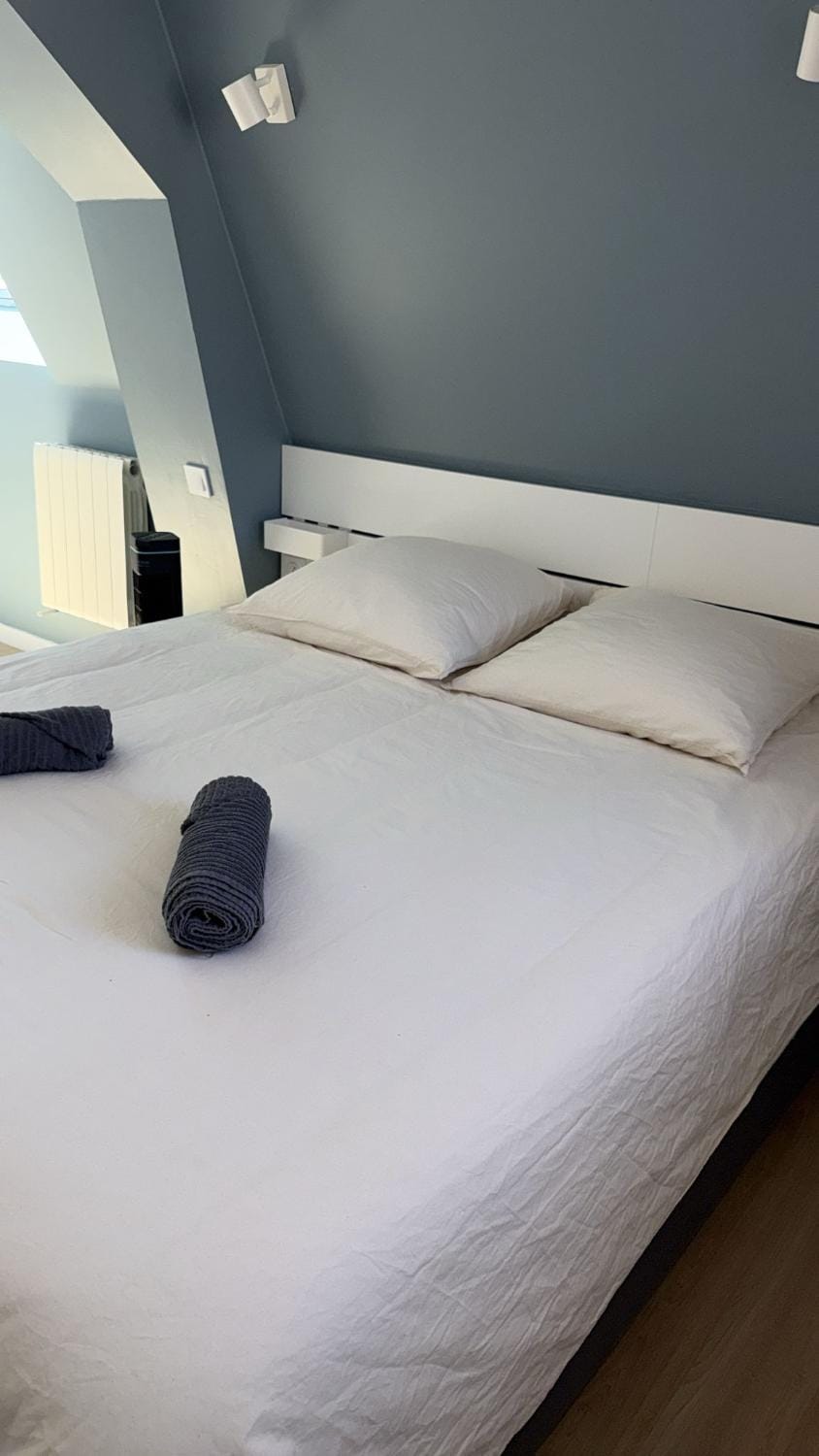 Appart'Village Le vieux Vichy centre T1,T2,T3 - Parking - Thermes Apartment in Auvergne-Rhône-Alpes