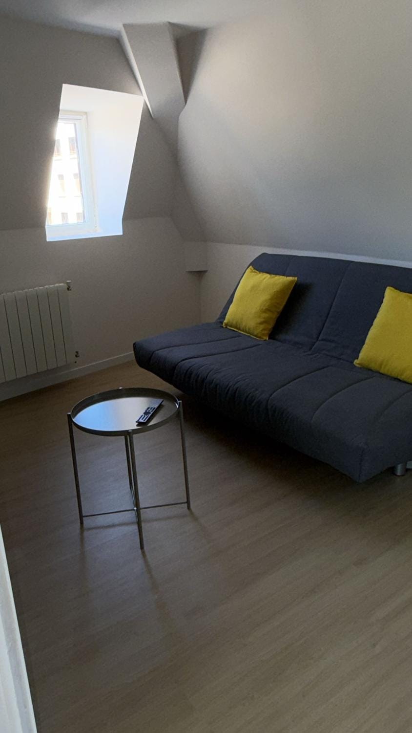 Appart'Village Le vieux Vichy centre T1,T2,T3 - Parking - Thermes Apartment in Auvergne-Rhône-Alpes