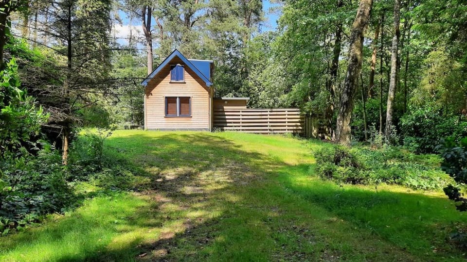 Vrijstaand in het bos met privé sauna House in Loenen