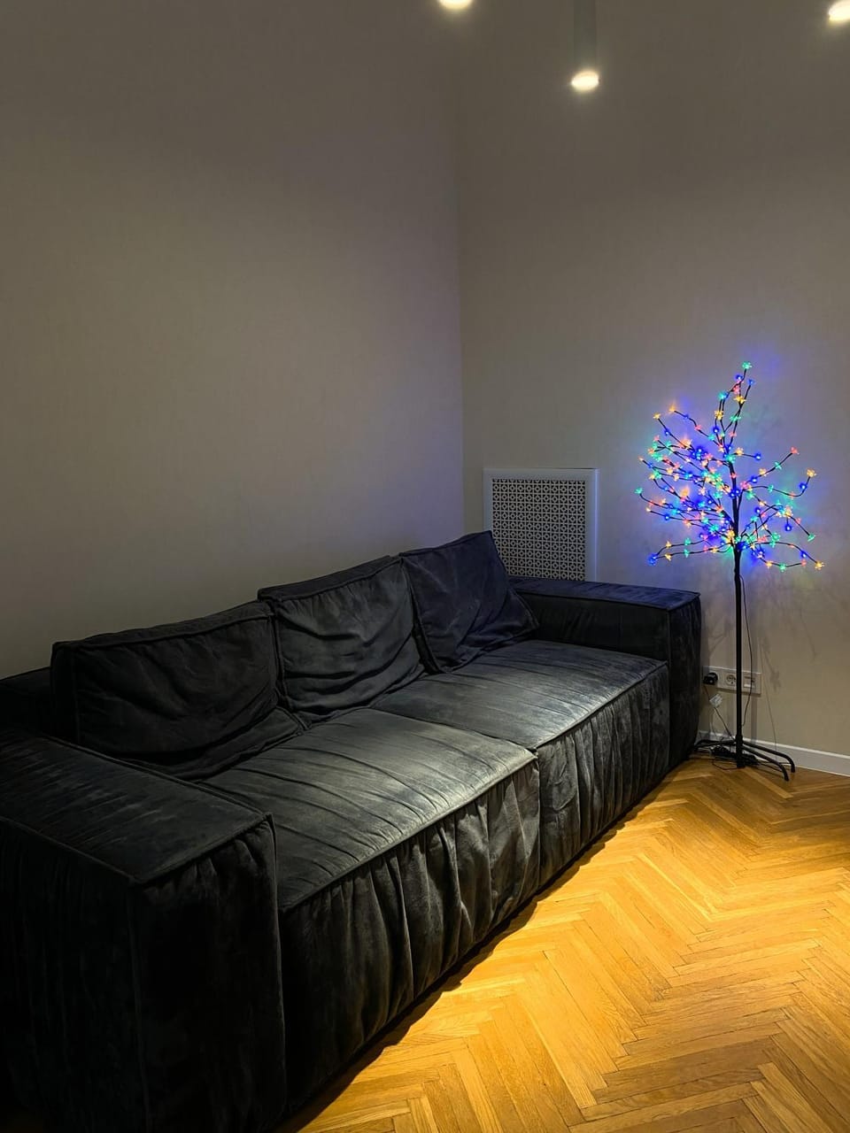 Bed, TV and multimedia, Living room, Photo of the whole room, Seating area