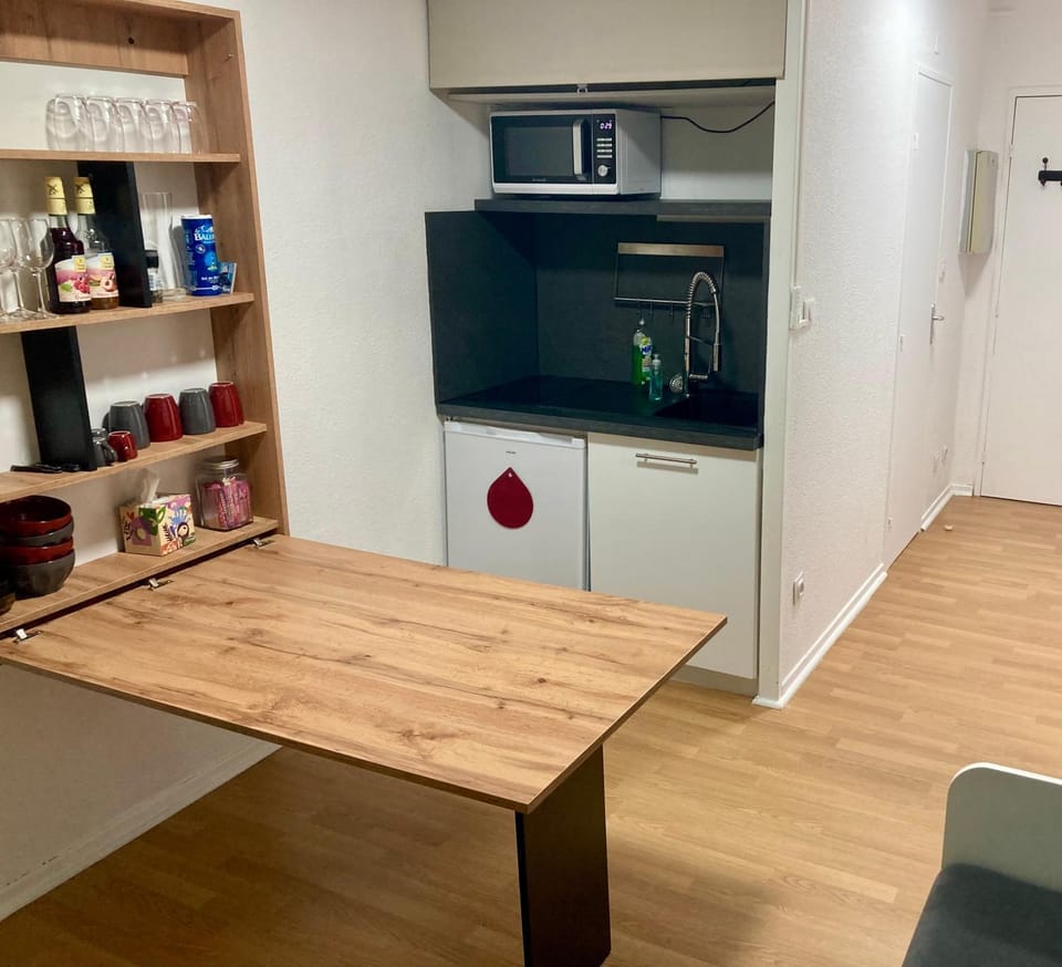 Studio à Guzet Neige aux pieds des Pistes et de Ecole de Ski Apartment in Occitanie