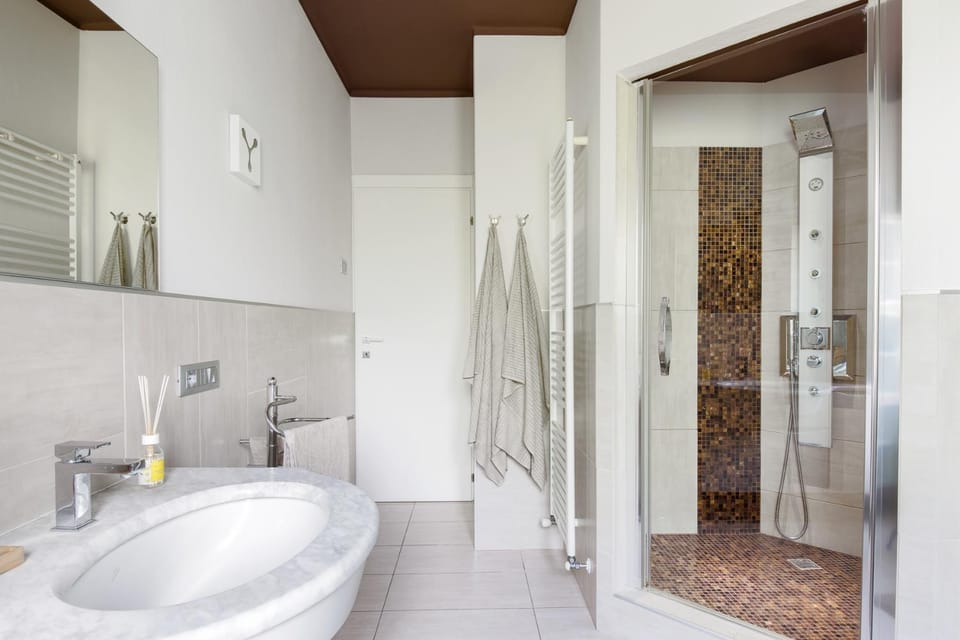 Shower, Toilet, Bathroom, towels