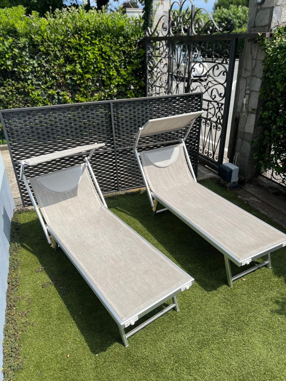 Garden, Garden view, sunbed