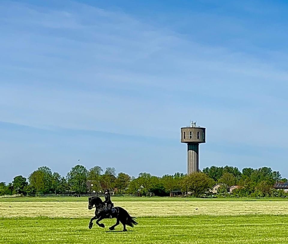 Natural landscape, Horse-riding, Horse-riding