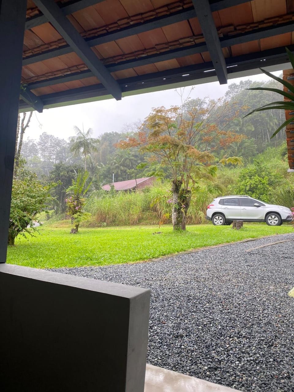 Natural landscape, Garden view, Parking