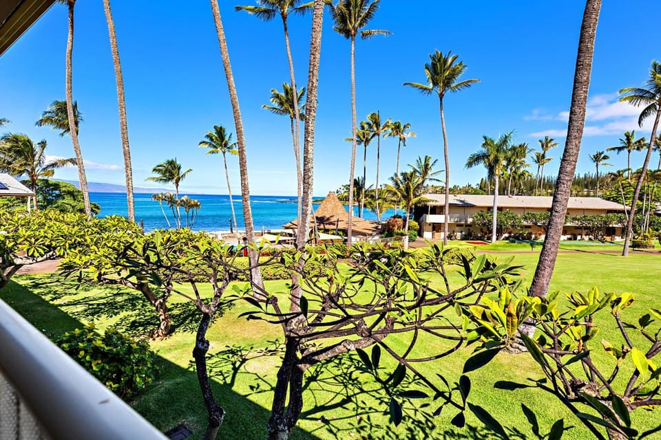 Napili Shores H263 Apartment in Kapalua