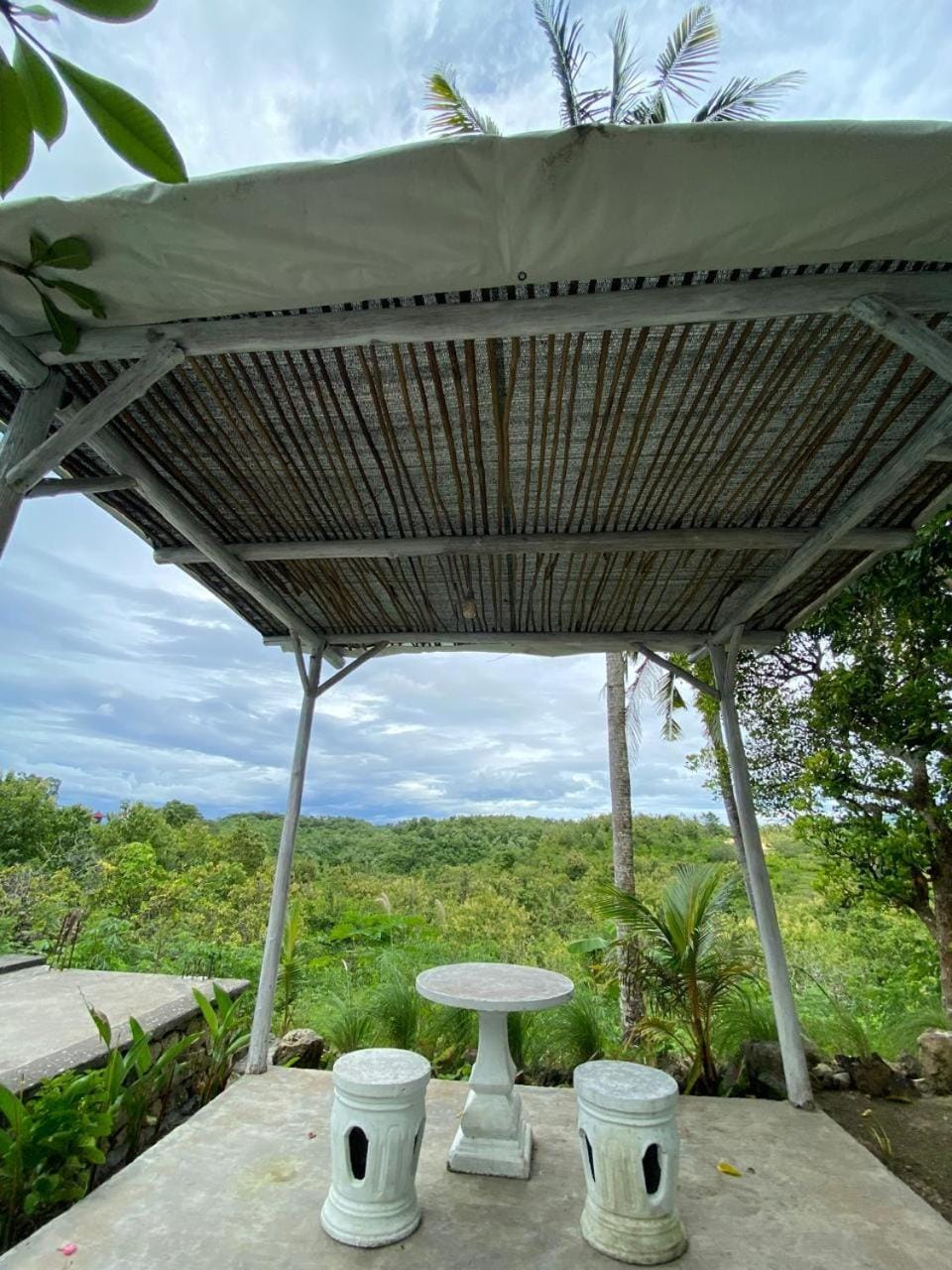 Garden view
