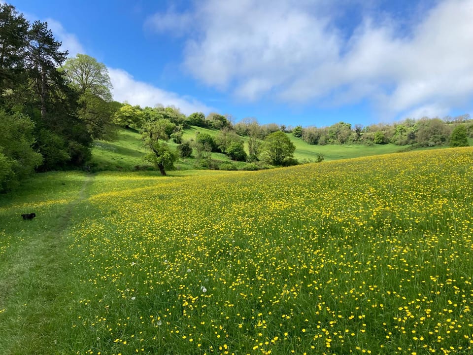 Natural landscape