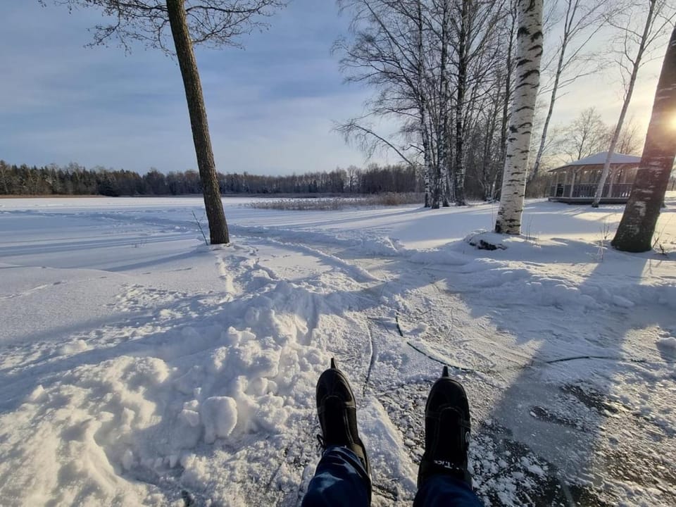 Natural landscape, Winter, Lake view