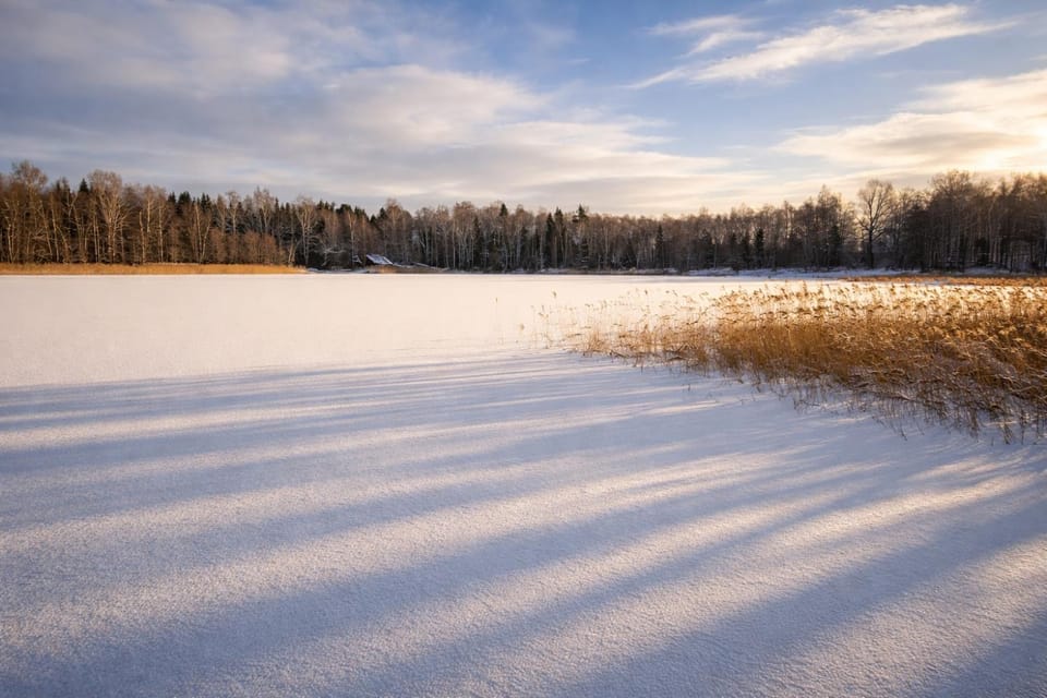 Lake view