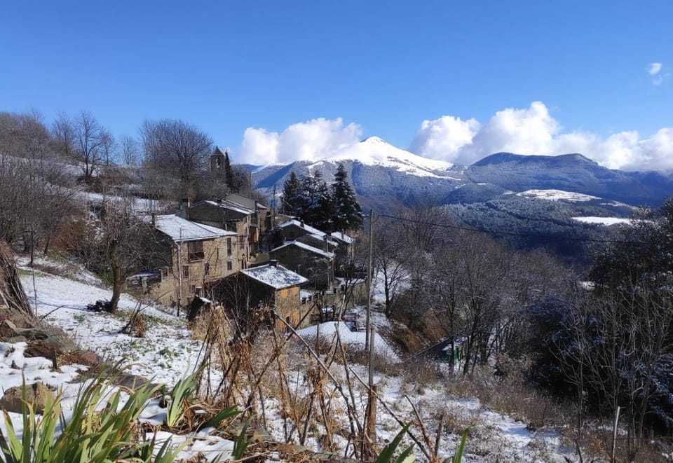 Natural landscape