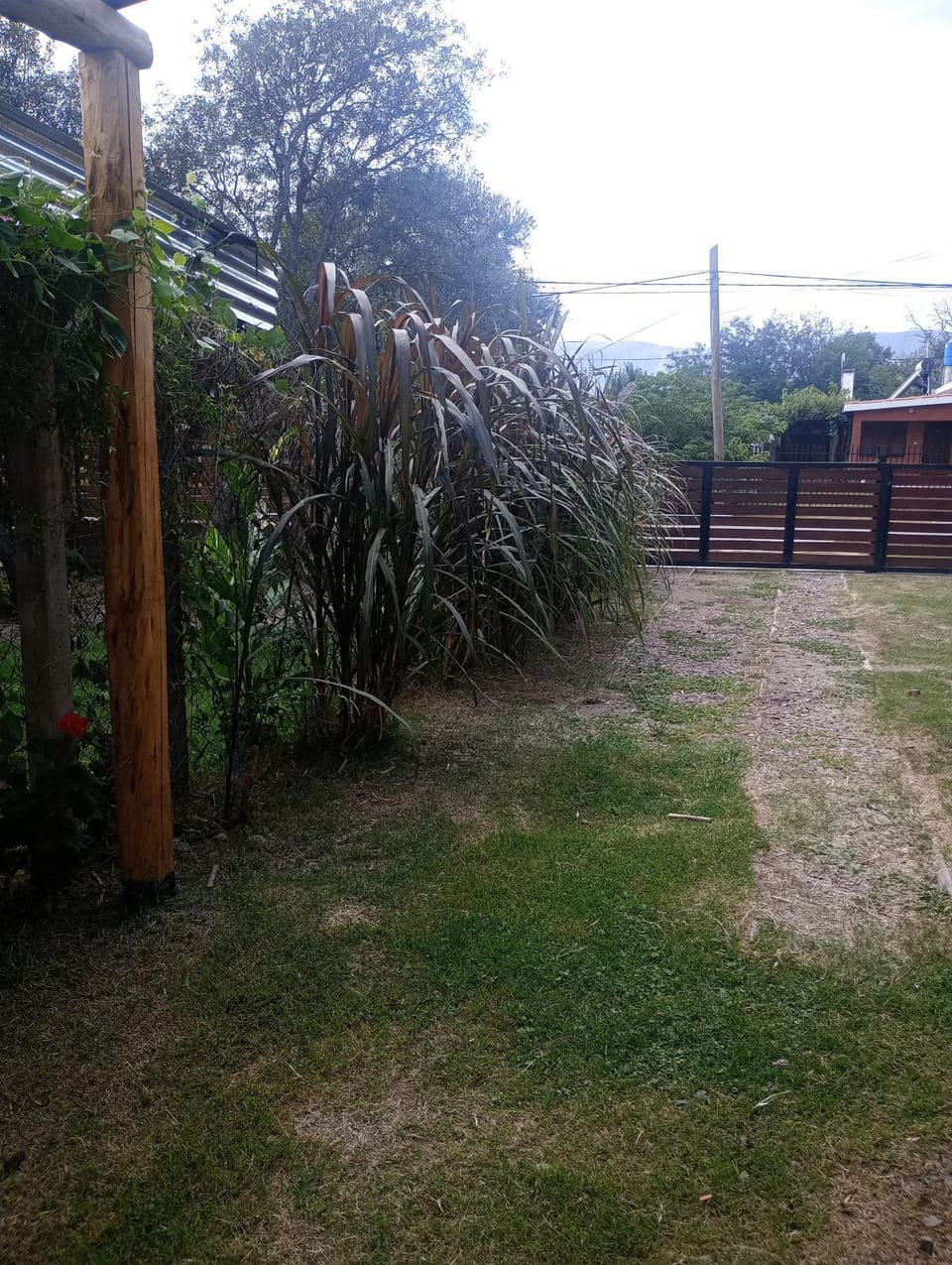 Garden view