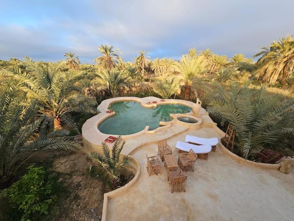 Paradise in a palm forest with epic pool and fire pit House in Egypt