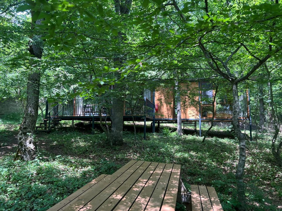 Nina's winery forest house in Kiketi House in Georgia