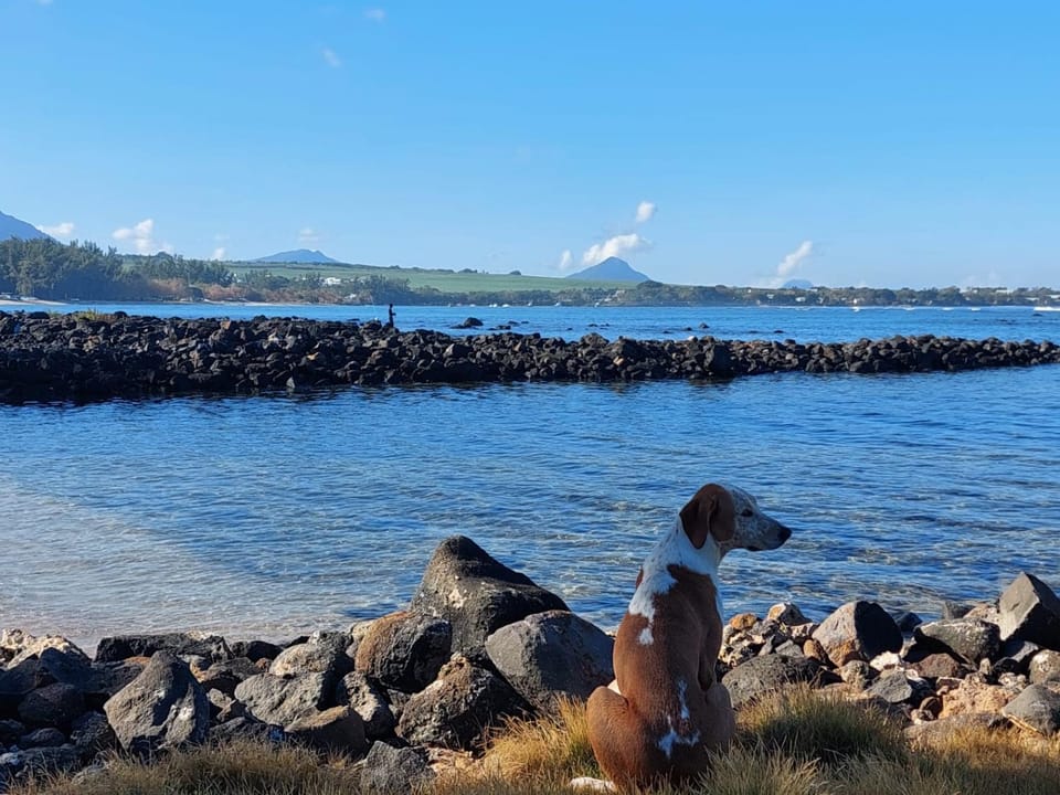 Beach, Sea view