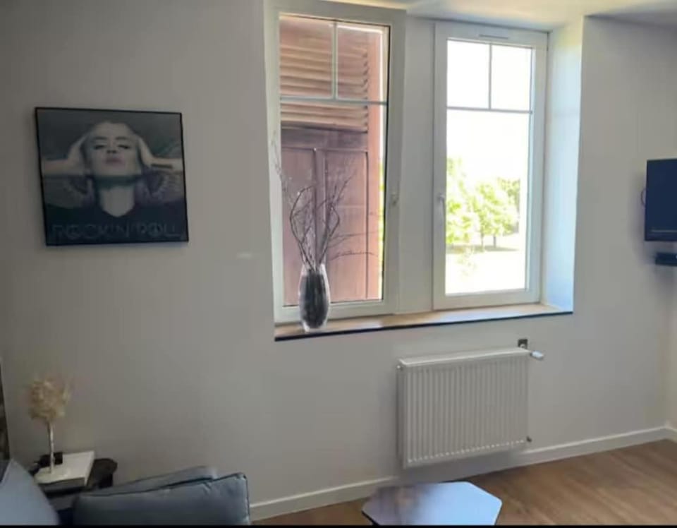 F2 chez Cathy et Mike wittenheim Apartment in Grand Est