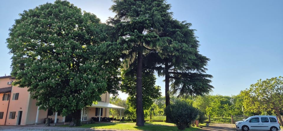 Locanda Corte Roveri Bed and Breakfast in Bologna