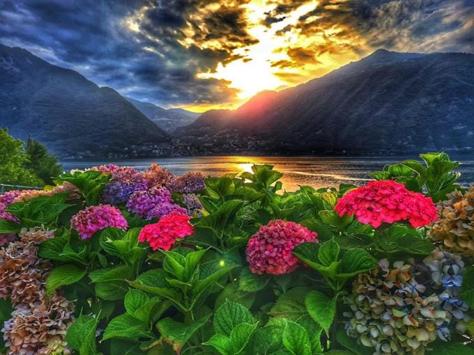 Lake view