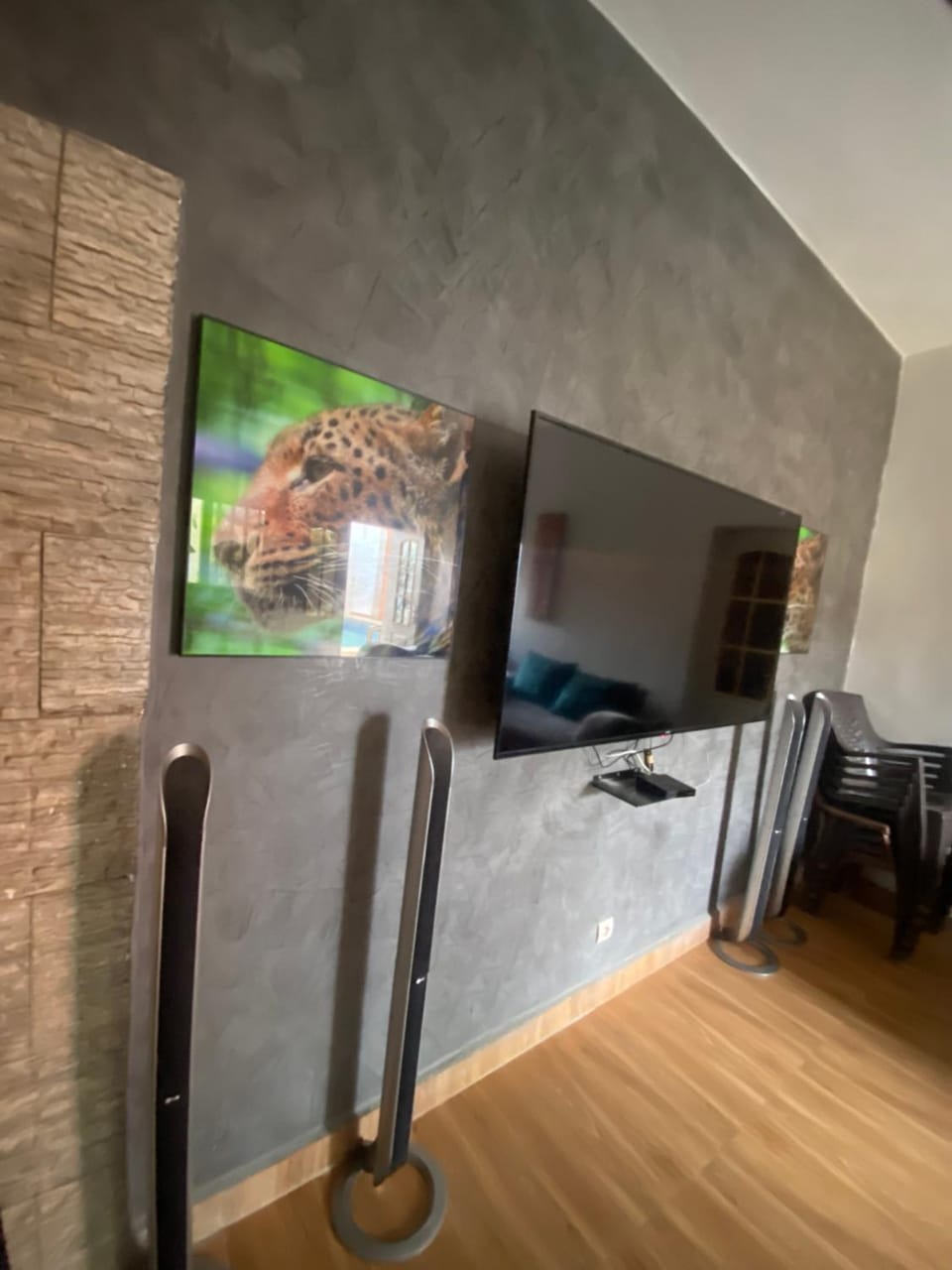 TV and multimedia