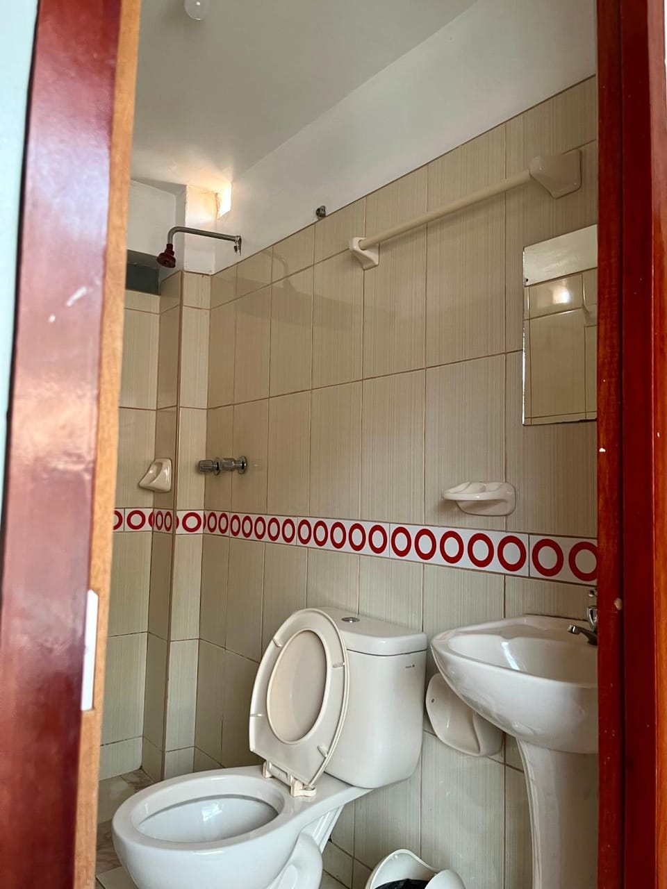 Shower, Toilet, Bathroom, bidet