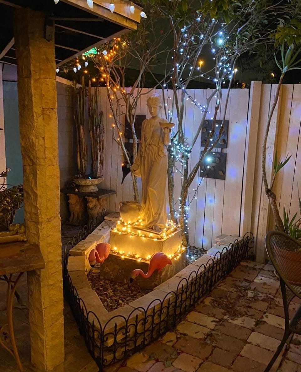 Night, Garden