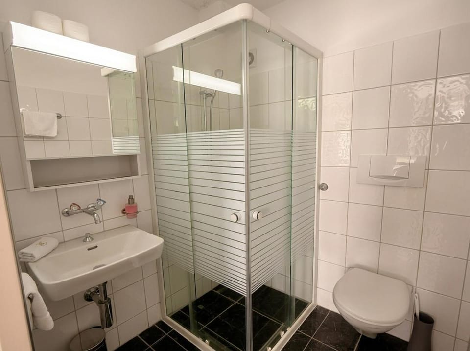 Shower, Toilet, Bathroom, towels
