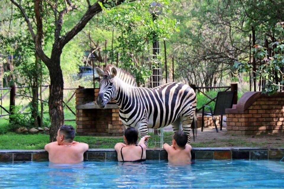 Natural landscape, Animals, Garden view, Pool view, Swimming pool