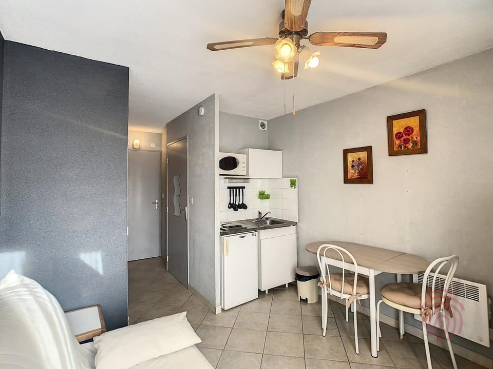 Studio lumineux près des thermes avec Wifi & animaux acceptés - FR-1-451-215 Apartment in Occitanie