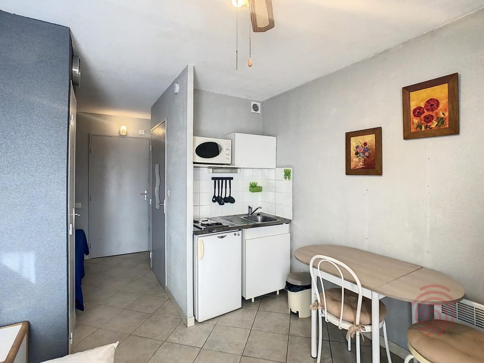 Studio lumineux près des thermes avec Wifi & animaux acceptés - FR-1-451-215 Apartment in Occitanie