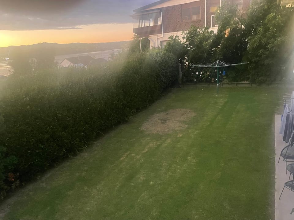 Natural landscape, Garden, Garden view
