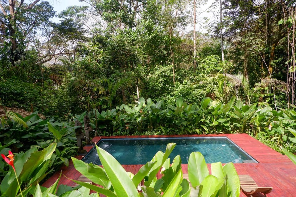 Pool view, Swimming pool