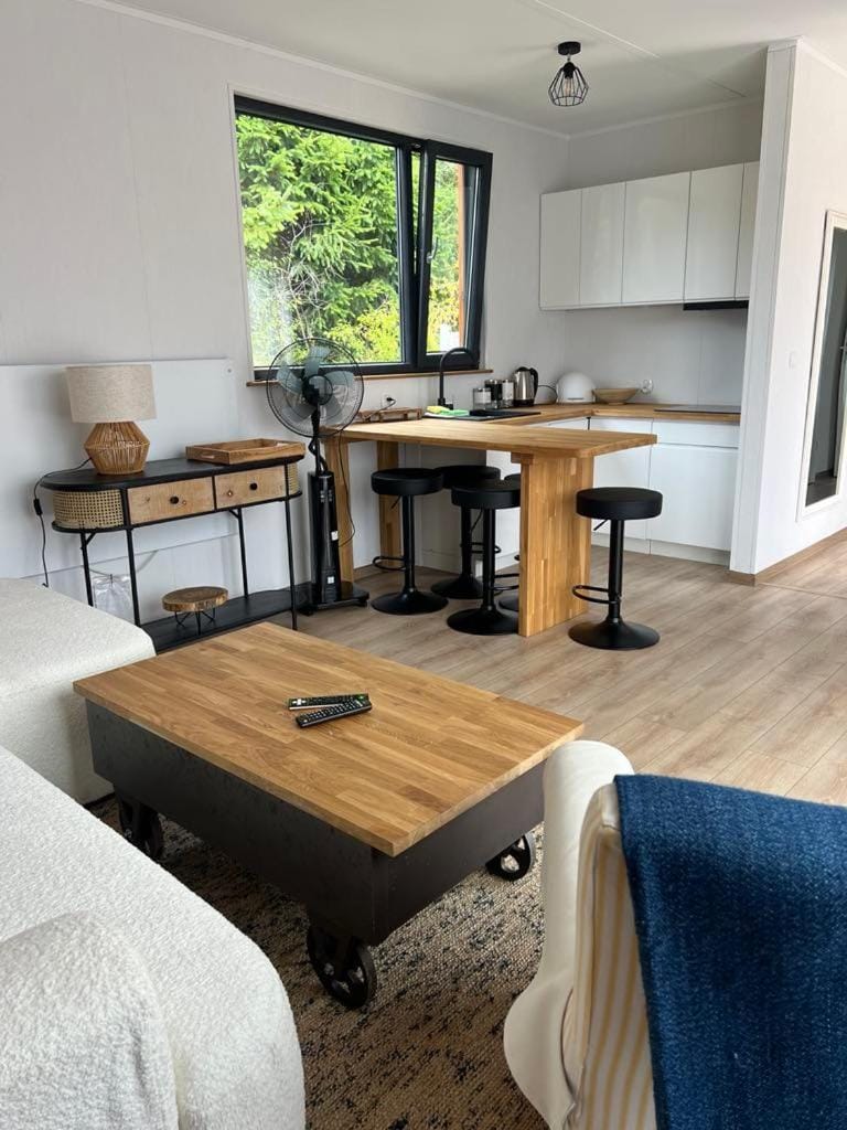 Dzika Łąka House in Leba