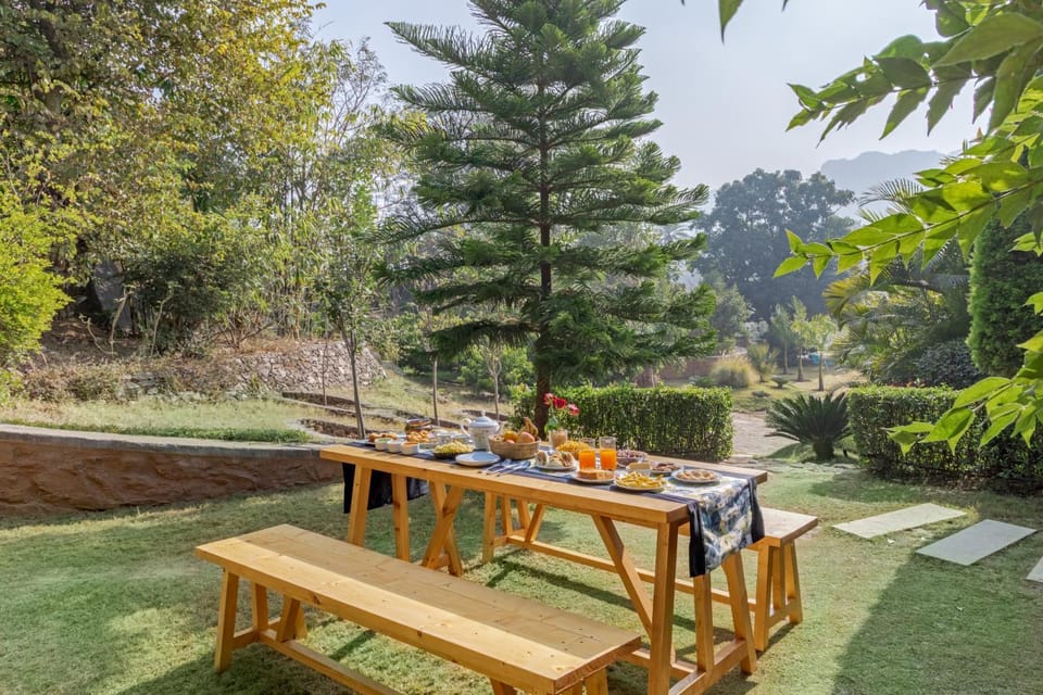 Garden