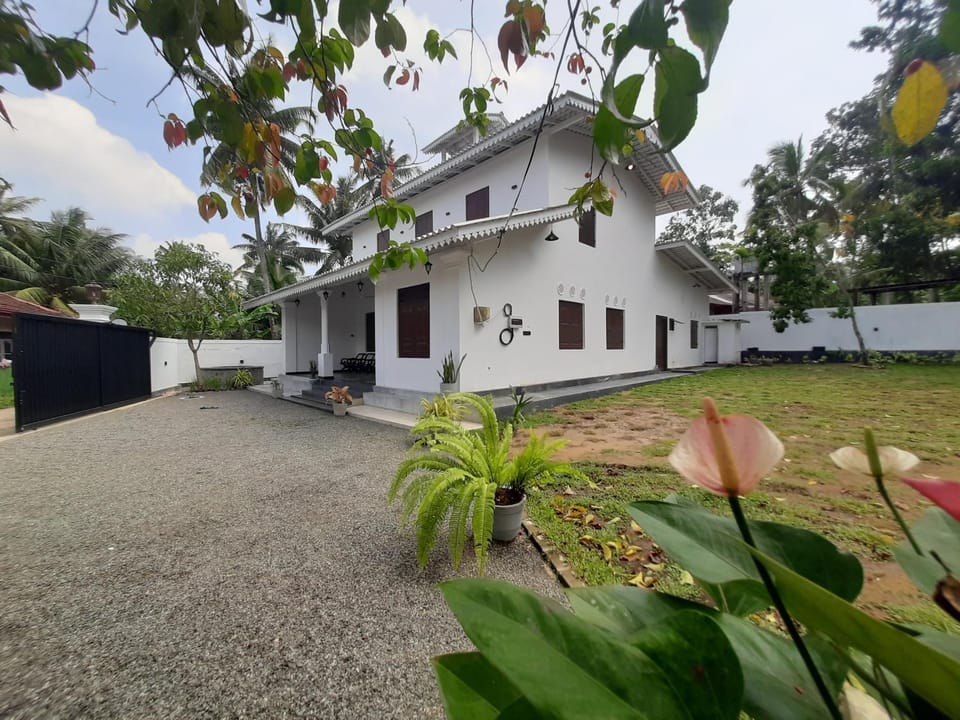 Property building, Garden view