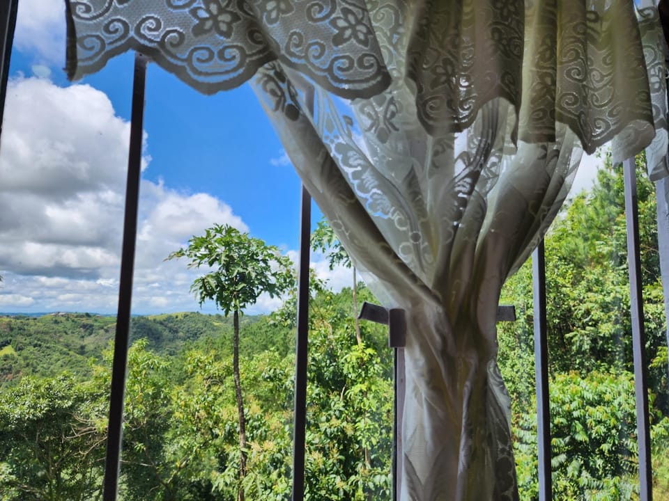 View (from property/room)