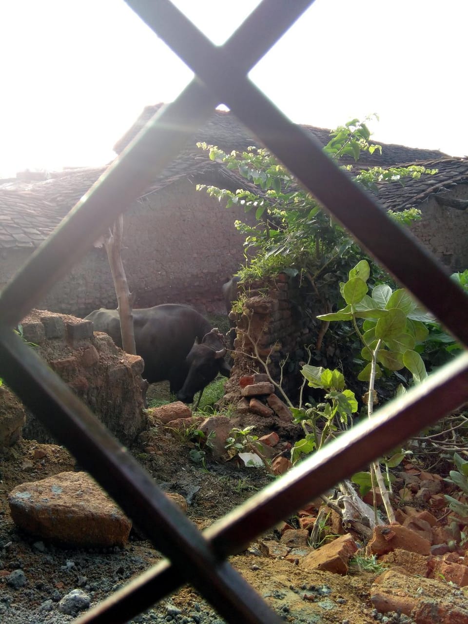 View (from property/room)
