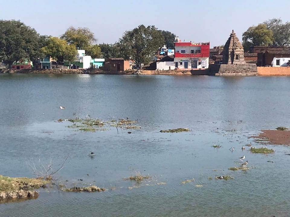 Lake view