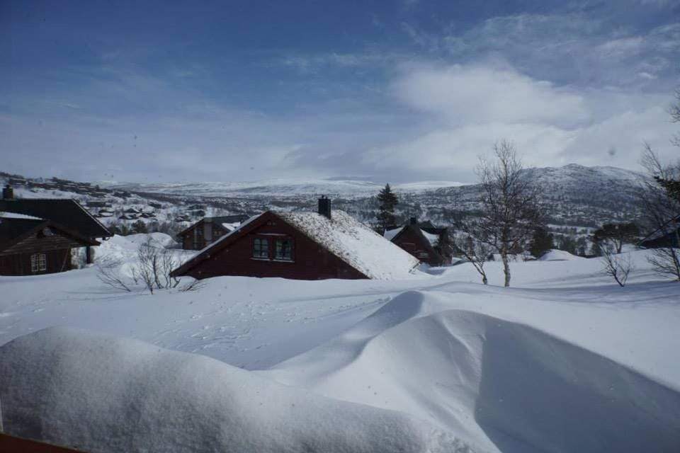 Cozy cabin centrally located in Hovden Cabin in Vestland