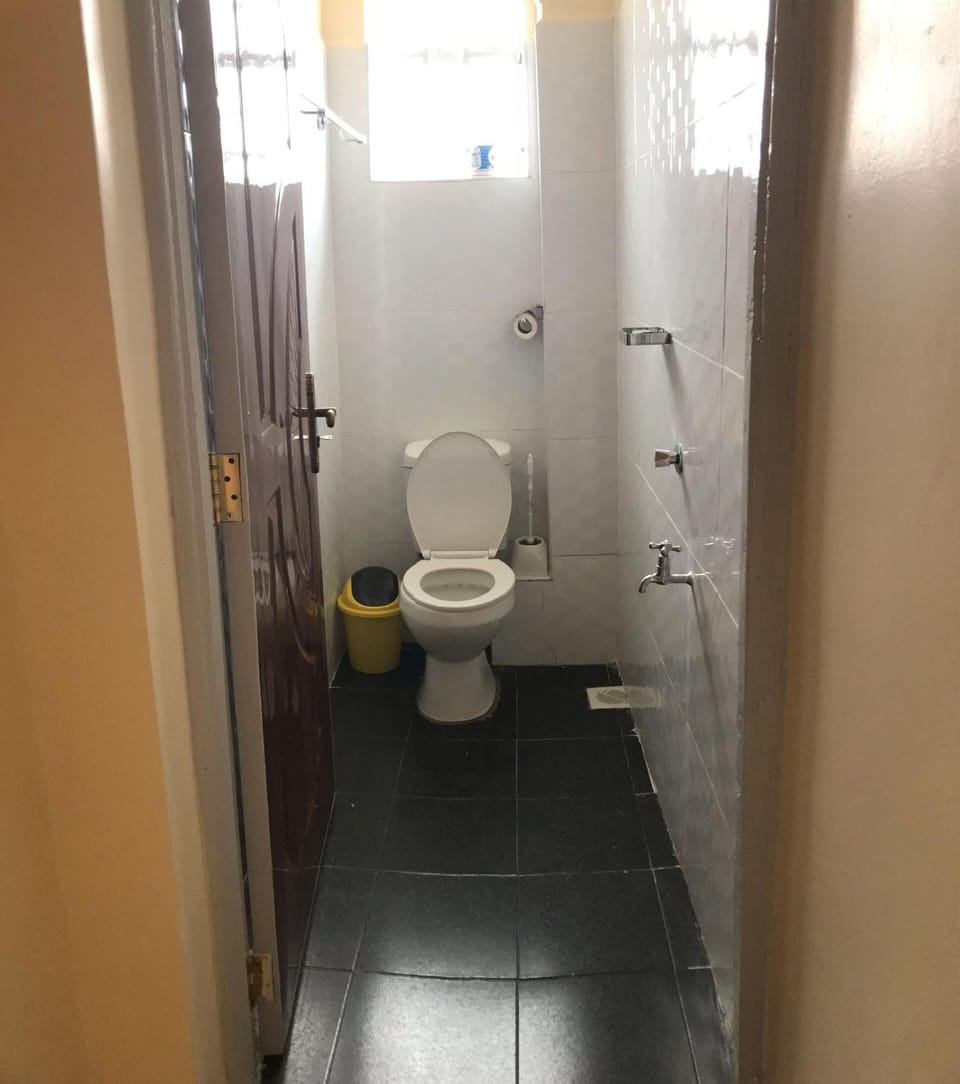 Shower, Toilet, Bathroom, bidet
