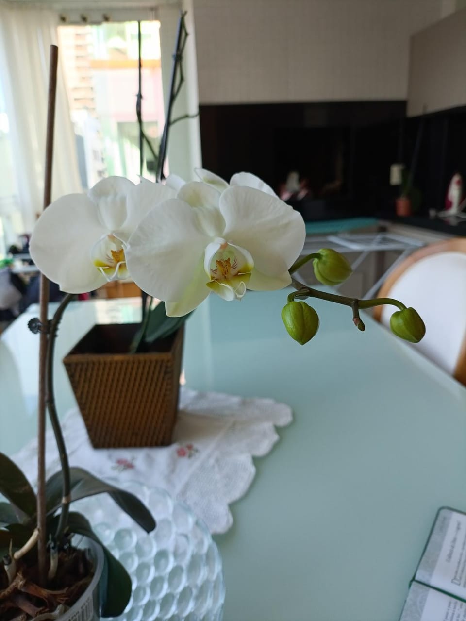 Apto luxuoso próximo ao mar Apartment in Porto Belo