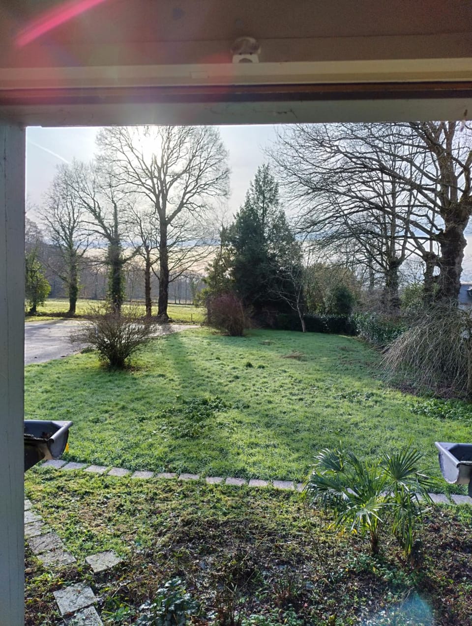 Garden view