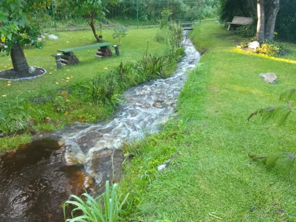Natural landscape, River view