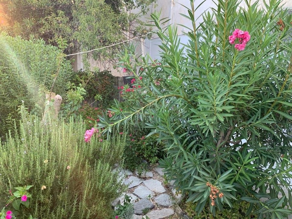 KERYLOS , au cœur de Parikia, avec jardin House in Paros