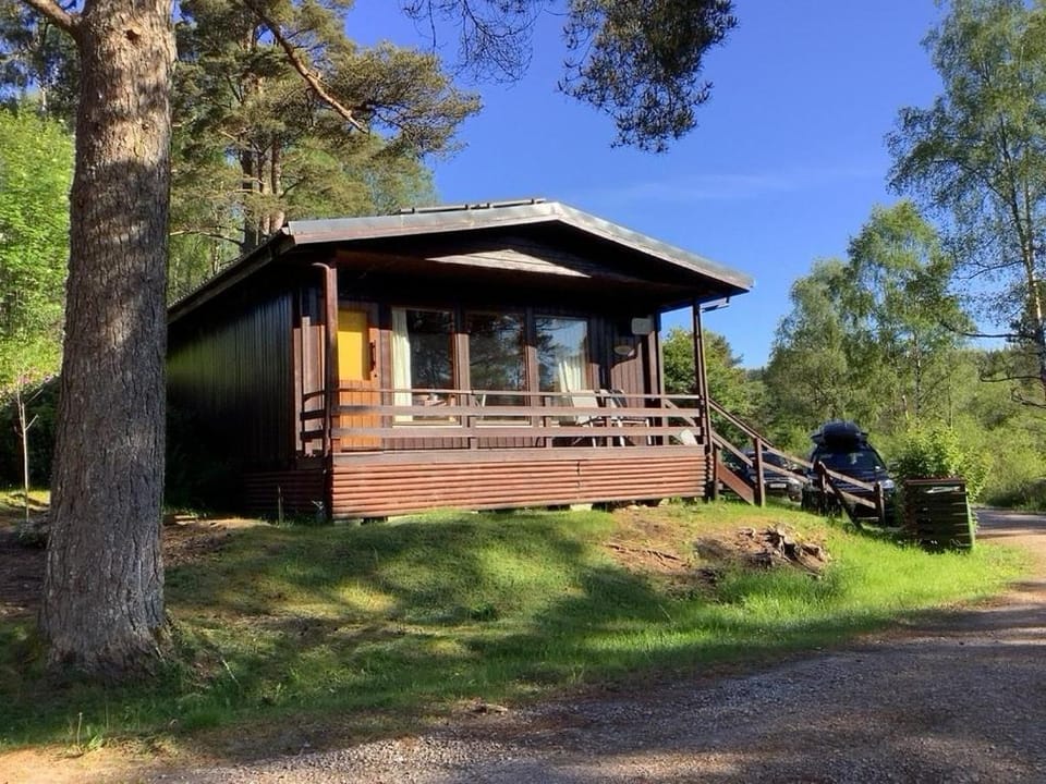 Solstice Cabin Cabin in Scotland