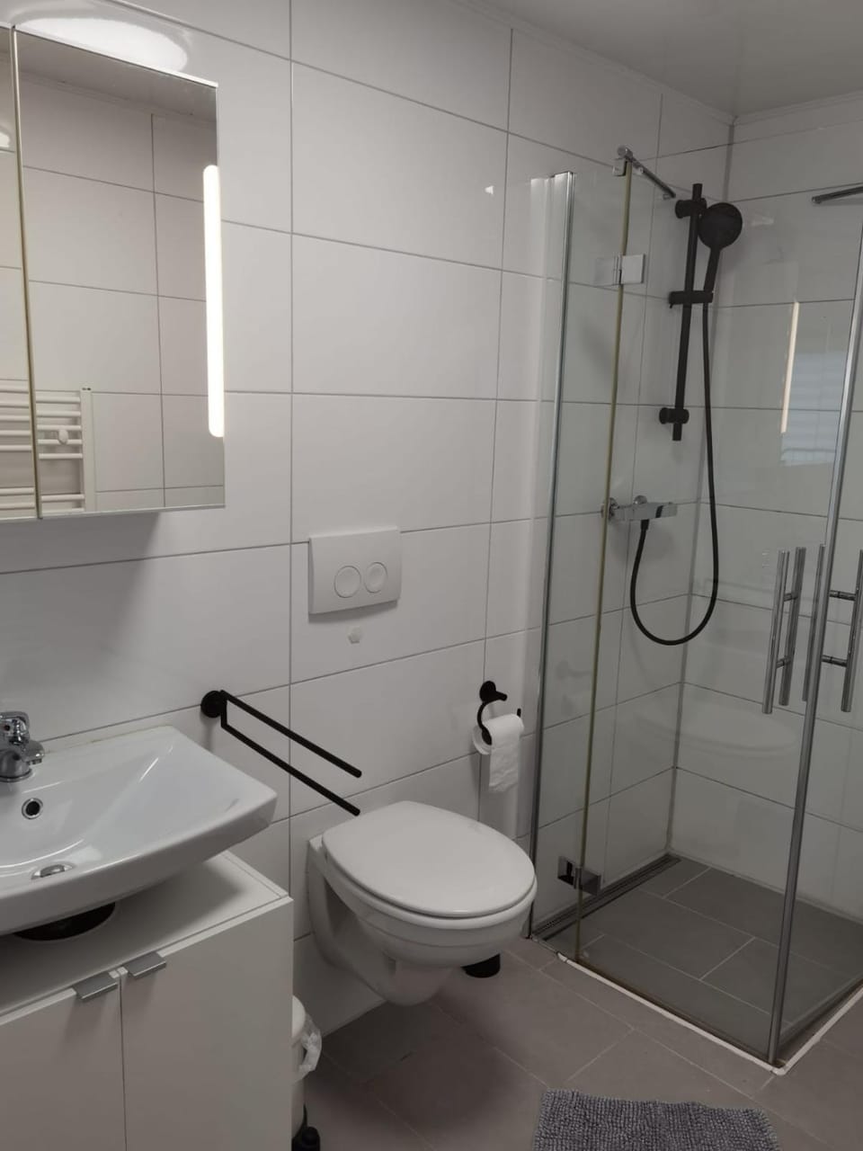 Shower, Toilet, Bathroom, towels